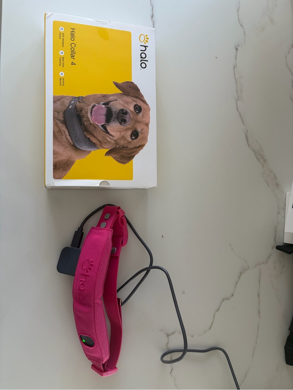 Halo Pink Rechargeable Dog Collar - Halo